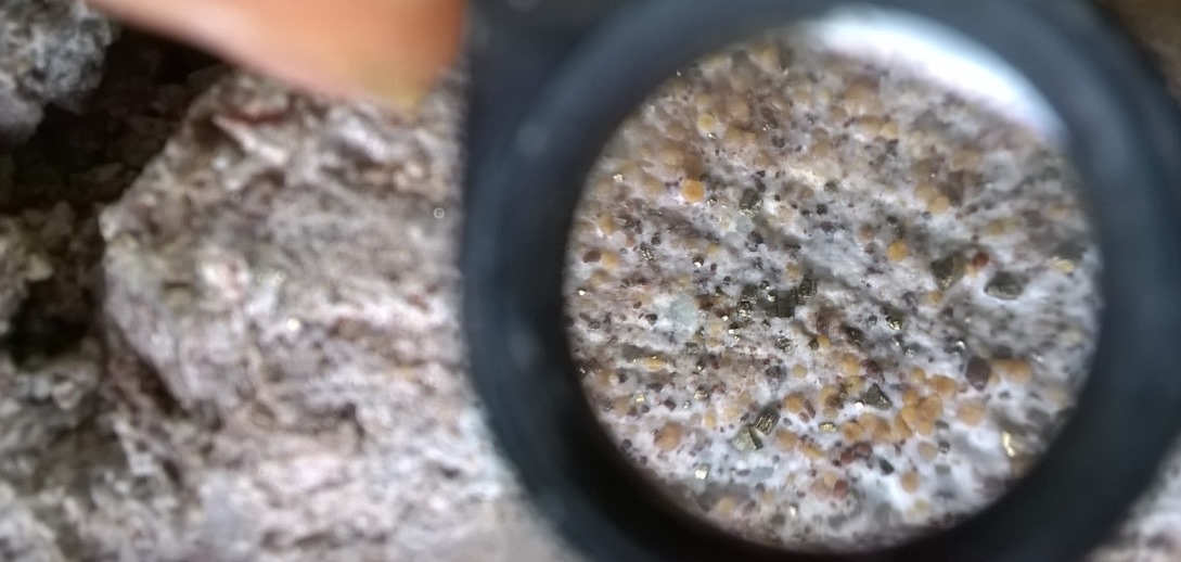 ACA Howe Site Visit ACA Howe Site Visit